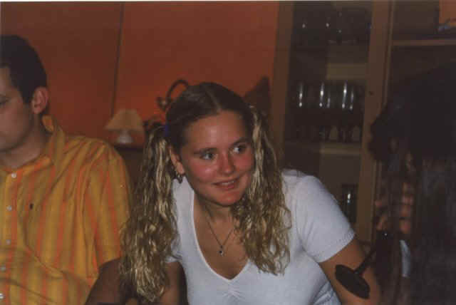 fest.jpg (32505 bytes)